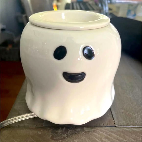 Pink Zebra simmer pot